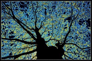 symbolic tree of knowledge