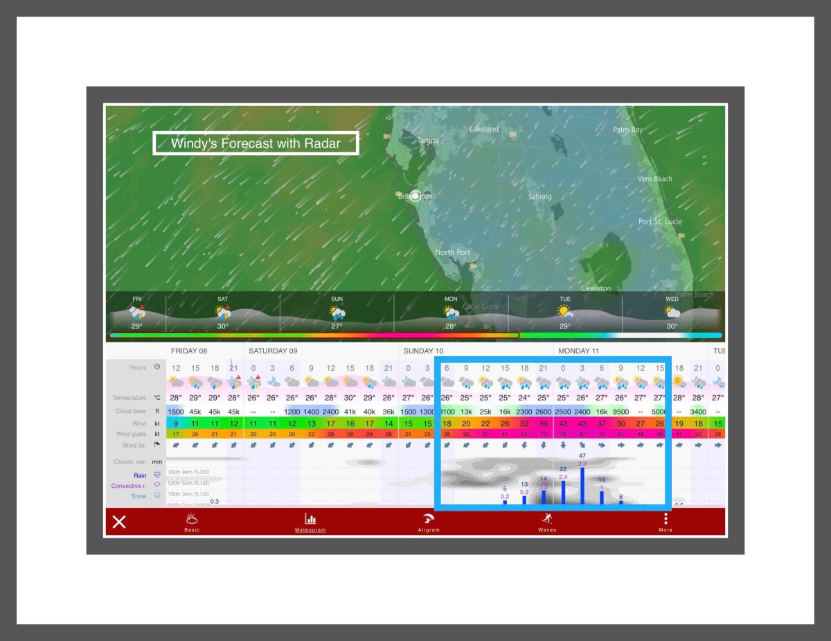 Windy's radar forecast